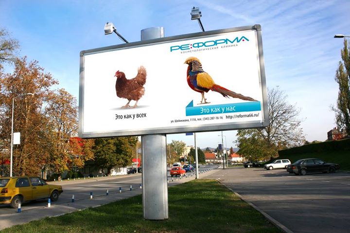 pic2635762.jpg