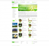 Дизайн сайта для фирмы "Фитотерапия"