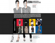 Дизайн сайта для магазина "Зебра"