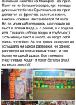 Алкоголь на Майорке
