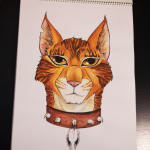 Кот воитель