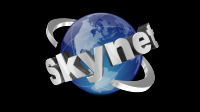 логотип интернет клуба " Skynet "