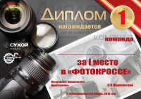 Работа 2849239