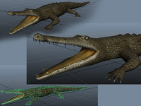 Croco_WURM