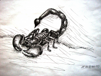 Mine_4