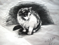 Mine_3