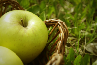 sunny apple