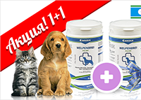 Рекламные баннеры в слайдер зоомагазина .