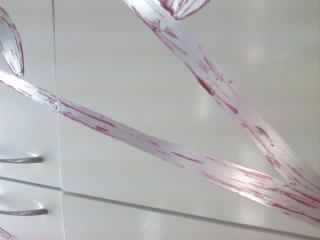 pic2519234.jpg