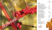 Вёрстка журнала