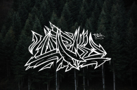 Работа 2855261