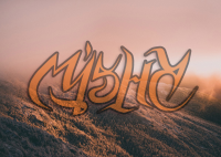 Работа 2855262