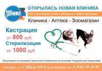 Реклама для ветклиники