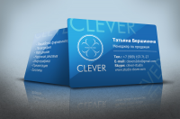 Визитка "Clever" - г. Пермь (2014 год)