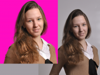 Работа 2761732