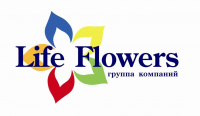 Работа 2747641