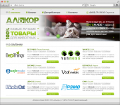 Разработка дизайна сайта