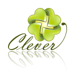 Разработка логотипа для компании Clever