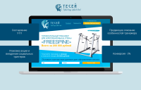 Лендинг и реклама для компании «Тесей»