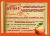 листовка А3 4+0