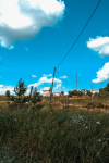 Работа 2844254