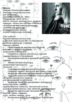 Работа 2806403