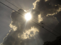 Работа 2842818