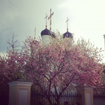 Работа 2842806