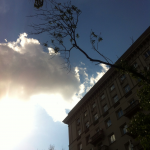 Работа 2842791