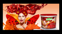 Дизайн банки краски TM ELFINA