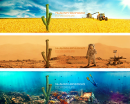 Иллюстрации для сайта www.cactus-russia.ru