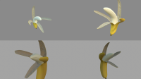 Banana