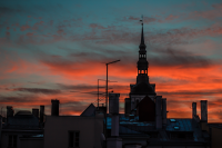 Работа 2111636