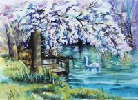 Swan