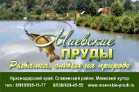Работа 2817728