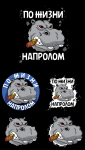 hippo