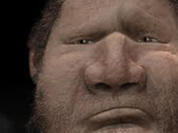 homemates_concept_#3