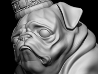 pug