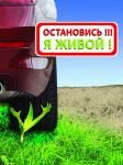 Работа 2826850