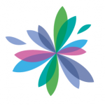 Цветы в интерьере