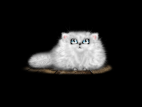 котэ