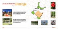 Буклет для Guta