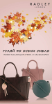 Афиши на витрину магазина Radley