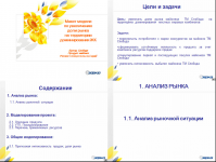 План развития территории