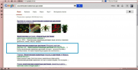 Продвижение в ТОП2 Google