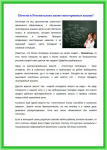 Аналитическая статья «Почему в России плохо знают языки»