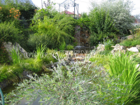 Любимый сад