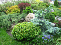 Белый кораблик