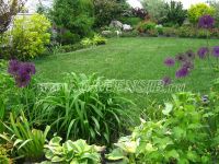 Белый кораблик