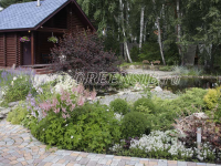 Озеро и ручей